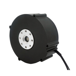 Mute Electric Lawn Mower Motor Durable Brushless Motor For Lawn Mower