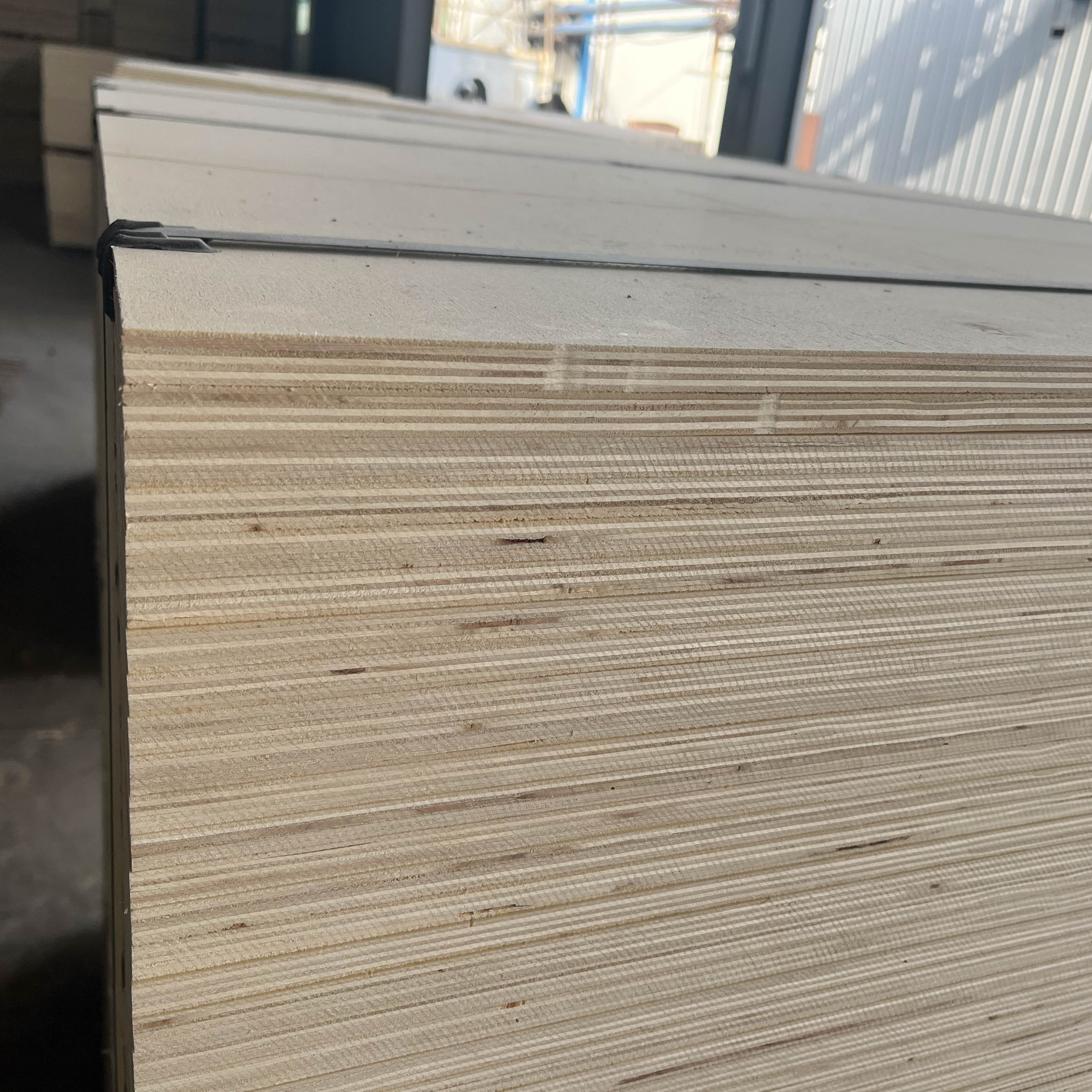 Poplar wood is exported to the Malaysian market to make pallet boards