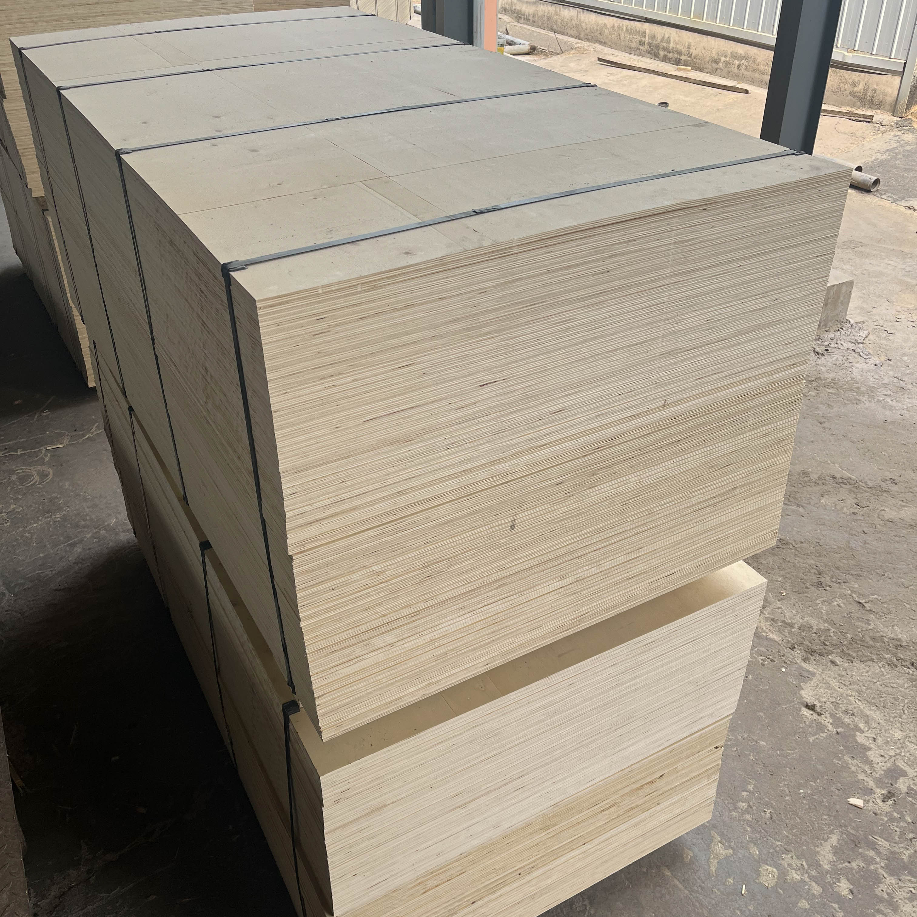 Poplar wood is exported to the Malaysian market to make pallet boards