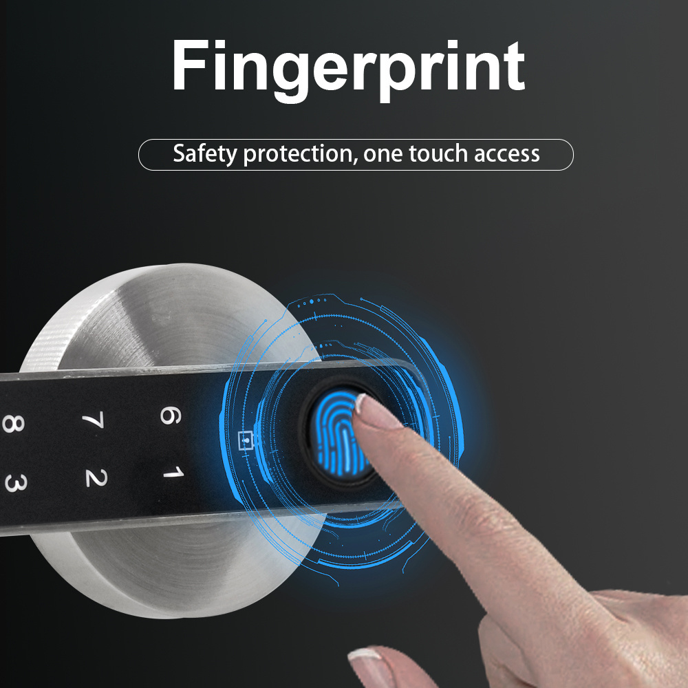 Intelligent Electronic Fingerprint Door Handle Smart Lock