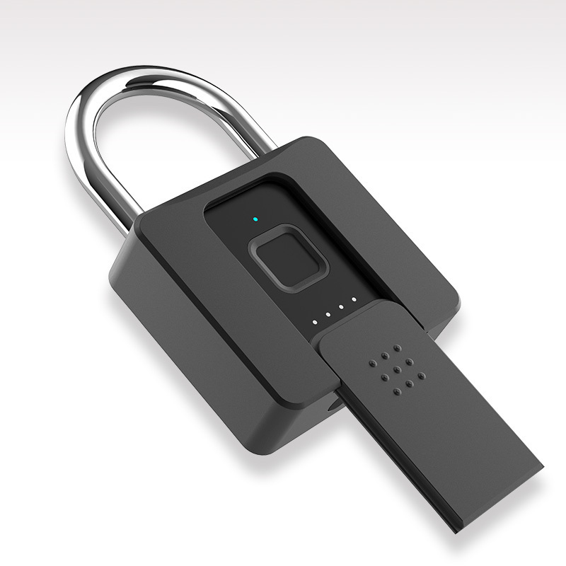 Durable Zinc Alloy Biometric Electronic Fingerprint Padlock Anti-theft Waterproof Smart Padlock