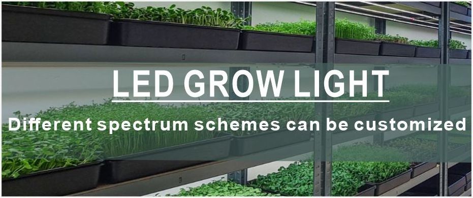 waterproof greenhouse spectrum led grow light bar