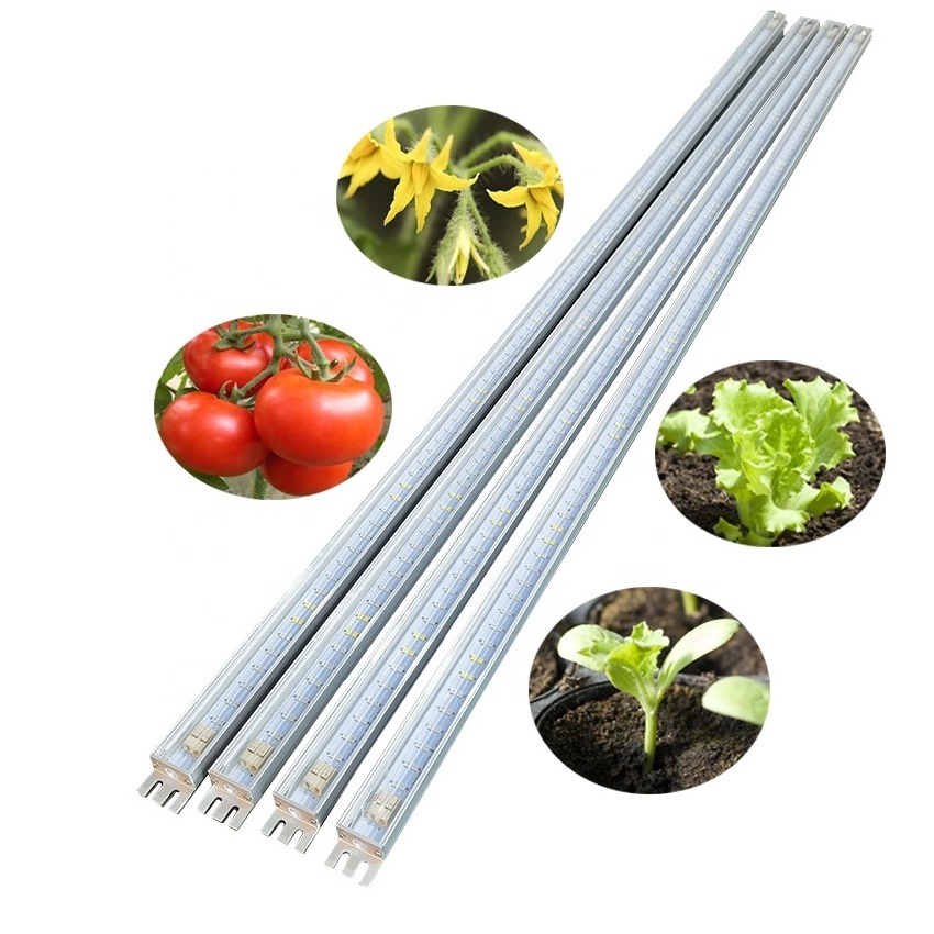 led indoor garden hydroponic microgreen led strip grow lights 12v 24v 48v for aeroponic tower