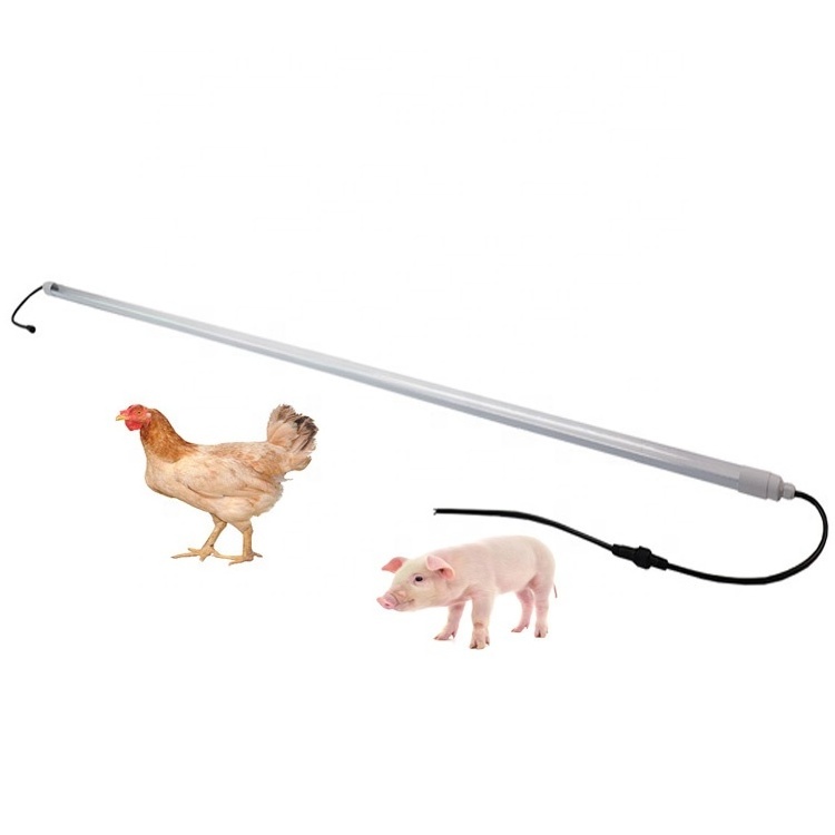 commercial poultry led lamp ip65 poultry farm led tube light