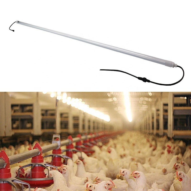 waterproof led chicken farm bulb t8 led poultry house light tube dimmable led lamps for poultry farming