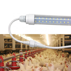 ip 67 24v t5 t6 t8 6w 9w led poultry tube light for poultry house farm light