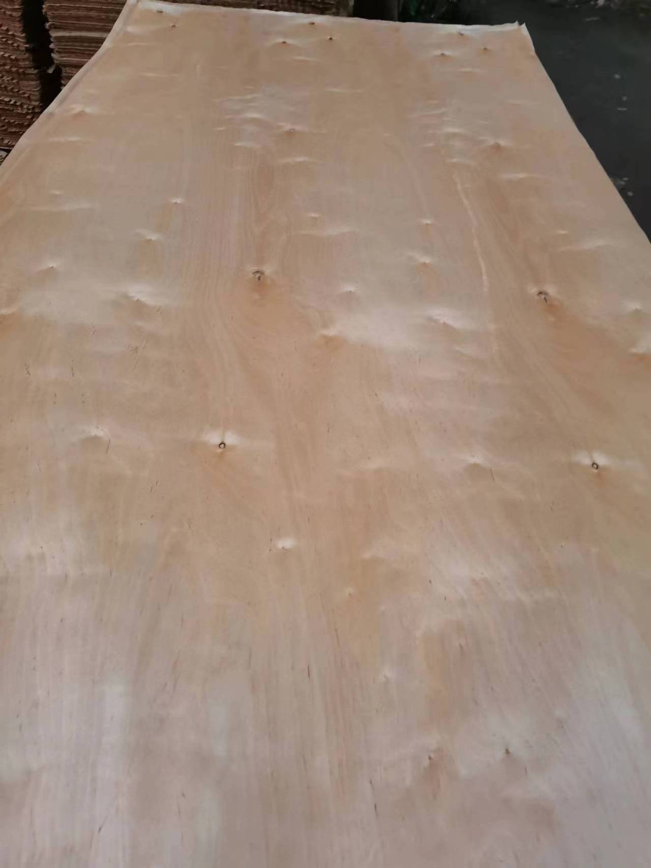 Walnut Veneer Birch Sheets Plywood Sandwich Panels Craft  Professional 3mm commercial plywood