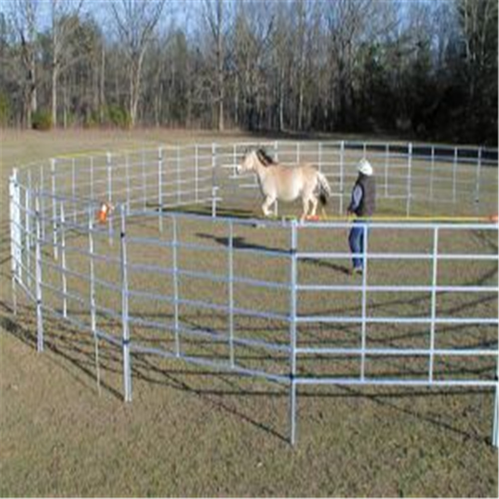 ZeRun Factory Rail Horse Fence high quality pvc horse fence