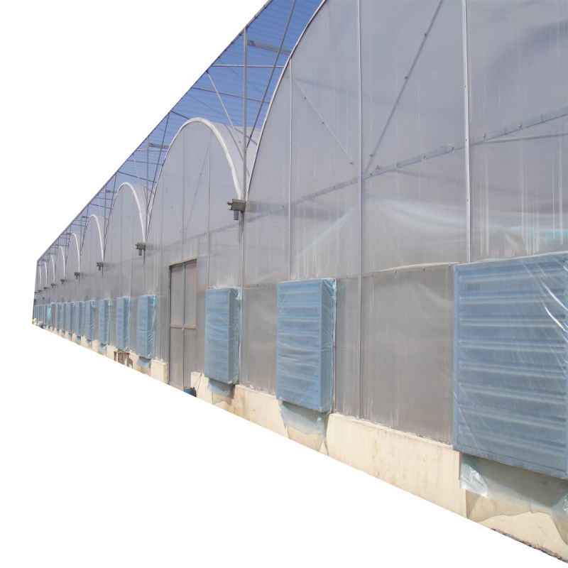 manufacture price multi span greenhouse hydroponics garden used for sale