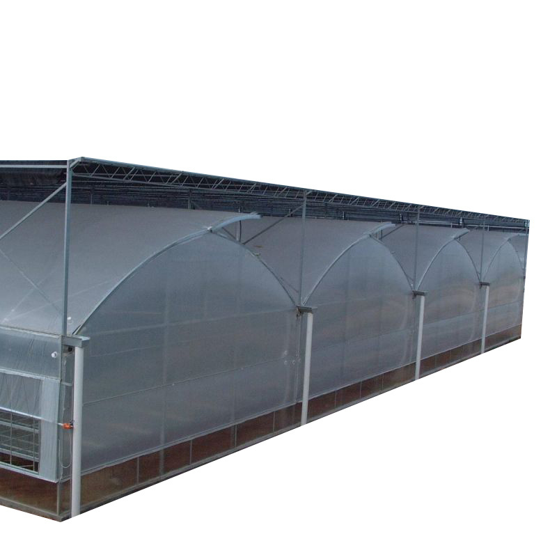 manufacture price multi span greenhouse hydroponics garden used for sale