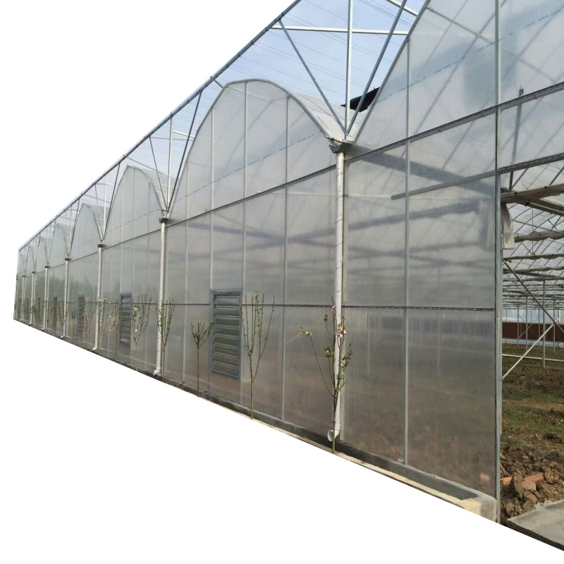 manufacture price multi span greenhouse hydroponics garden used for sale