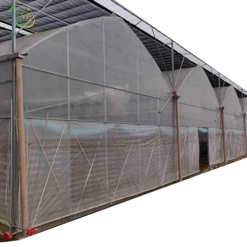 manufacture price multi span greenhouse hydroponics garden used for sale