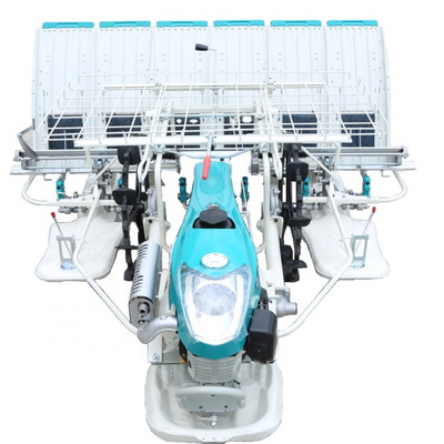 High efficiency paddy rice transplanter 6 rows planting machine manual rice planter best price for rice seeder machine