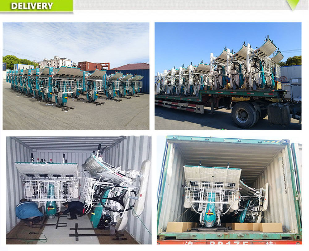 High efficiency paddy rice transplanter 6 rows planting machine manual rice planter best price for rice seeder machine