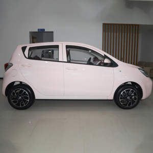 Hot sell ev car Changan Benben 310km e-star 2022 new energy vehicle cheap pink electric car