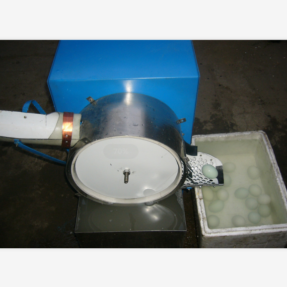 automatic chicken egg washing machine for small farm