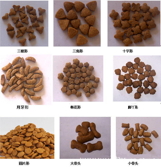 120kg/h dry fish food pellets extruder kibble dog food making machine