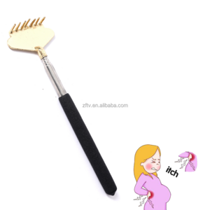 The Last Day's Special Offer Back Scratcher massager Metal Stainless Steel Extended Flexible Portable Claw Hand Back Scratcher