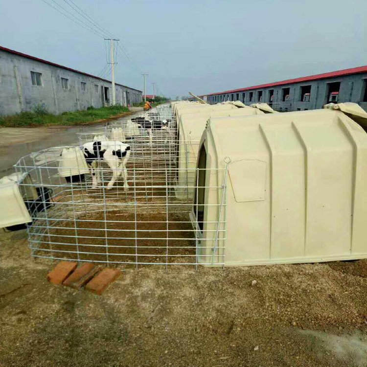 Dairy Farm Equipment Portable calf cage calf hutch