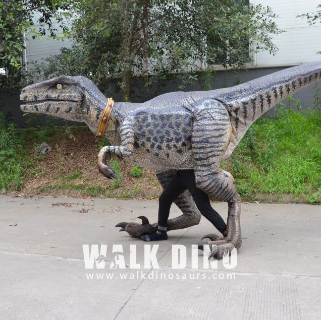 Amusement Park Velociraptor High Quality Artificial Raptor Adult Walking Real Animatronic Realistic Dinosaur Costume For Sale