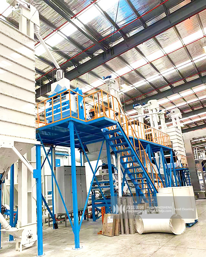 complete lentil  Grain Cleaning Machine Seed Processing Plant including cleaning /peeling/ polishing /packing machine