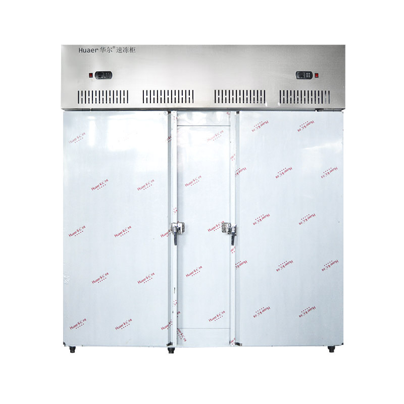 seafood meat fish fast blast freezer iqf quick freeze machine