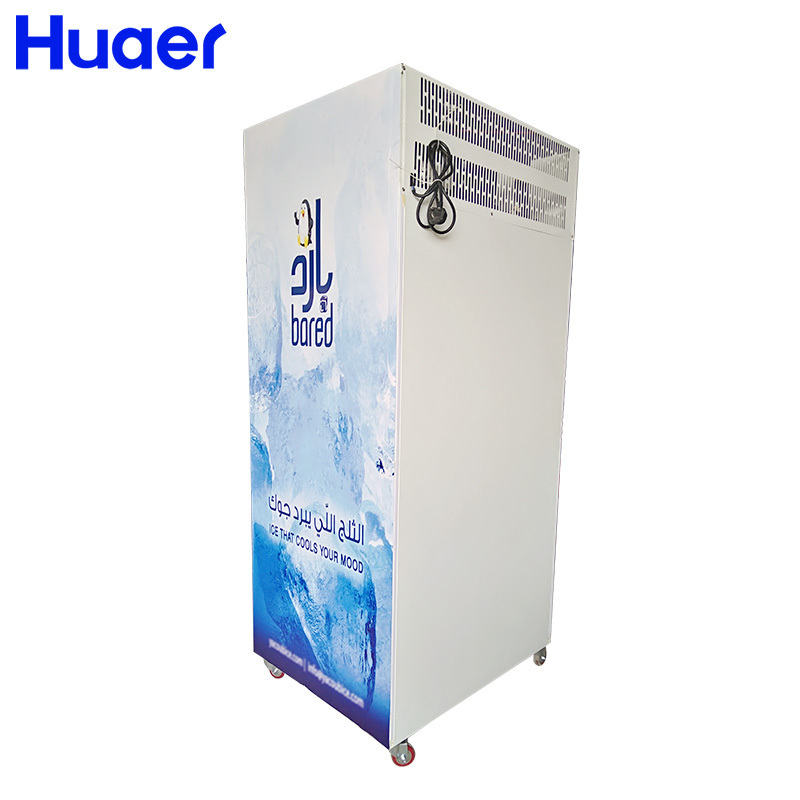 ice bagged refrigerator gas station outdoor dry ice bag storage freezer