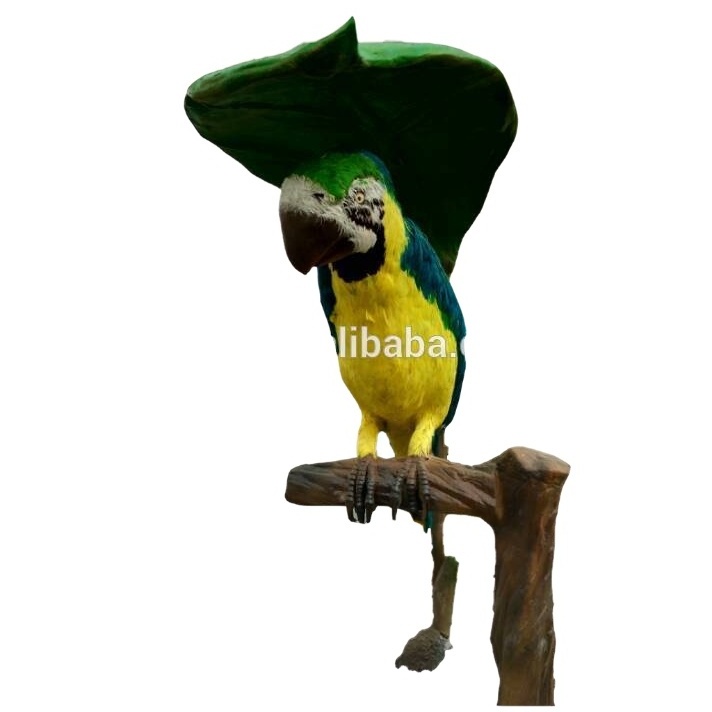 High Simulation animatronic Parrot For Sale