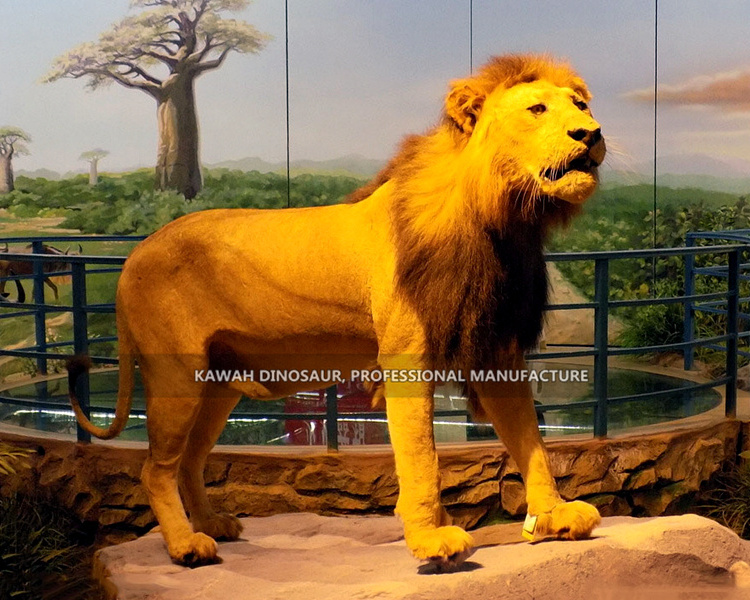 Handmade Realistic Animatronic Animal Lion Animatronic Lion Animals Custom Lion Model Statue for Zoo Park