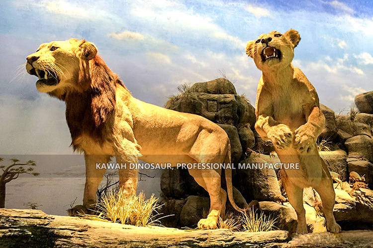 Handmade Realistic Animatronic Animal Lion Animatronic Lion Animals Custom Lion Model Statue for Zoo Park