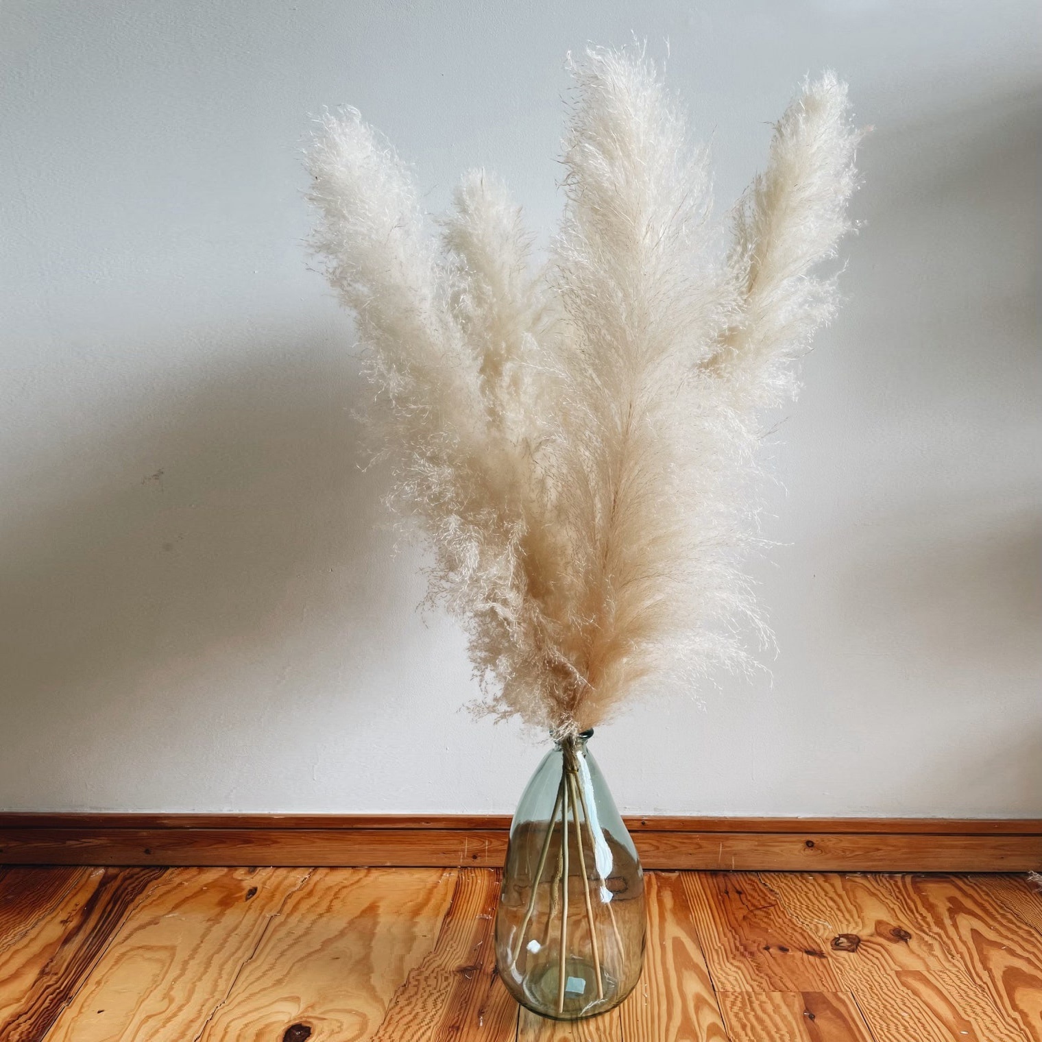 Factory Wholesale Boho Wedding Home Decor Natural Dried Tall Fluffy Large Reed Plume Pampass Grass Pompas Grass Pampas Grass