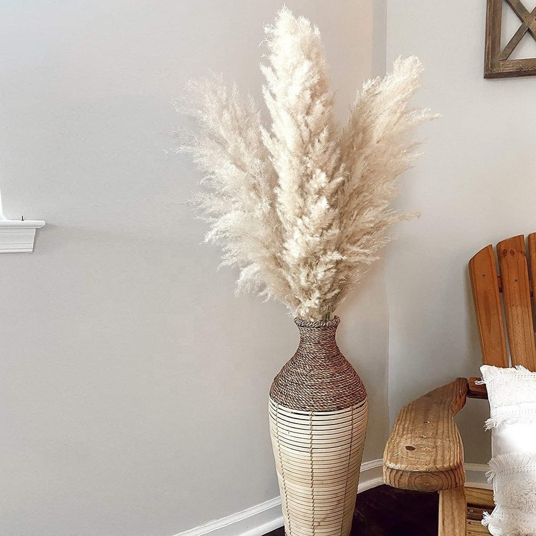 Factory Wholesale Boho Wedding Home Decor Natural Dried Tall Fluffy Large Reed Plume Pampass Grass Pompas Grass Pampas Grass