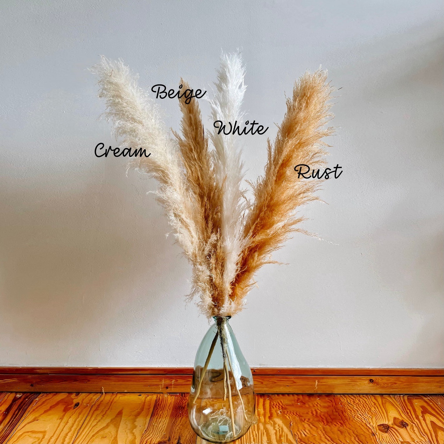 Factory Wholesale Boho Wedding Home Decor Natural Dried Tall Fluffy Large Reed Plume Pampass Grass Pompas Grass Pampas Grass