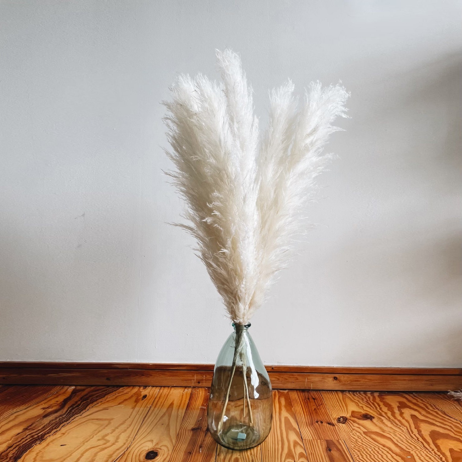 Factory Wholesale Boho Wedding Home Decor Natural Dried Tall Fluffy Large Reed Plume Pampass Grass Pompas Grass Pampas Grass