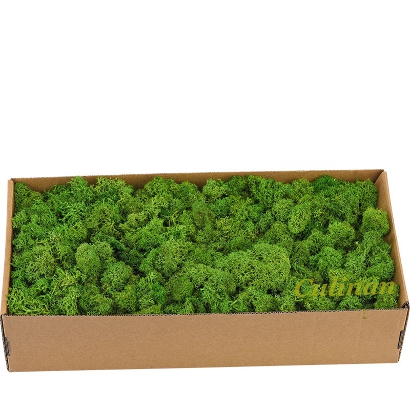 Culinan Wholesale 500g 8-9Cm Real Sea Moss Natural Dried Reindeer Natural Preserved Moss For Moss Wall Decor