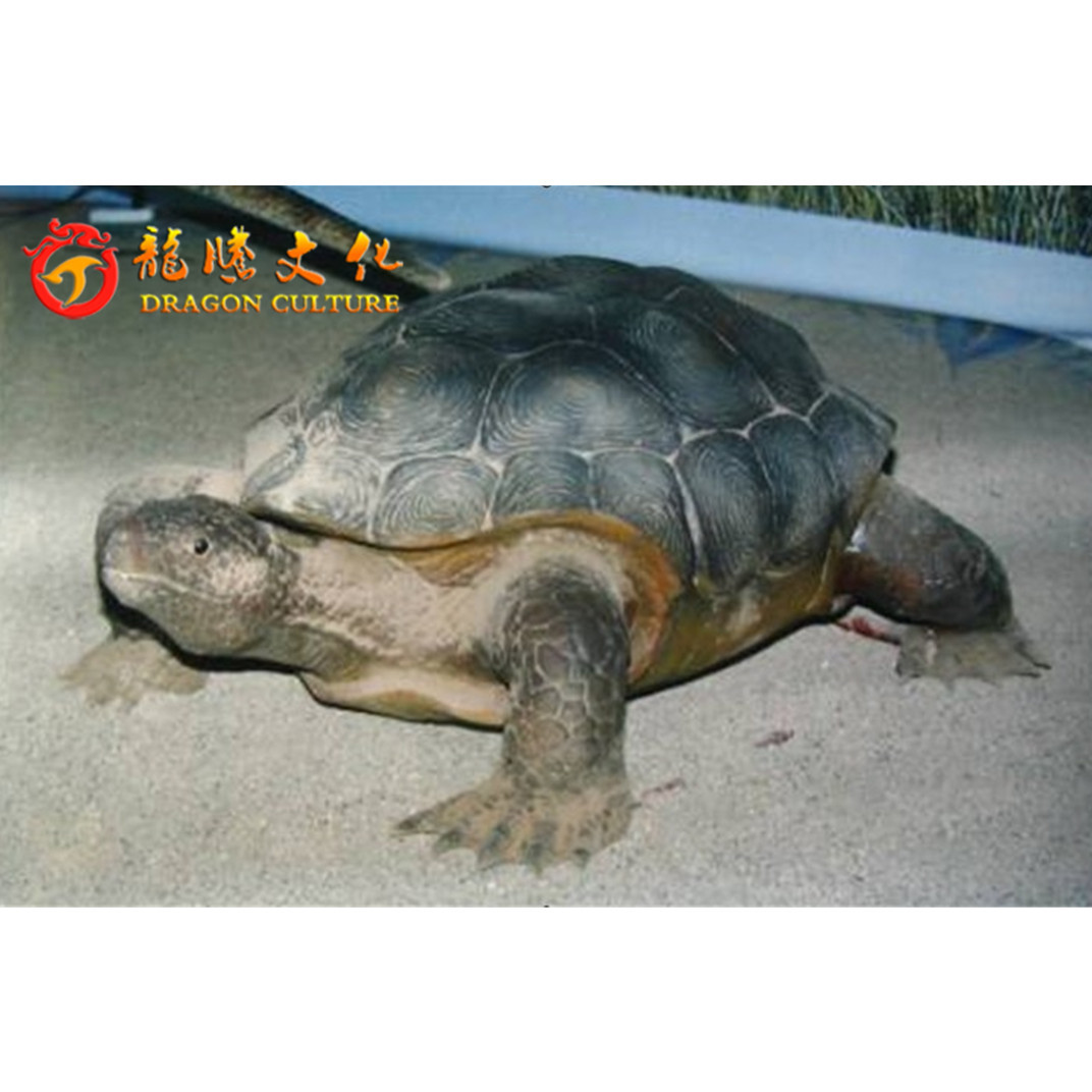 Life like Realistic Simulation Live Animal Model Tortoise Turtle for Aquarium Zoo Museum Amusement Park