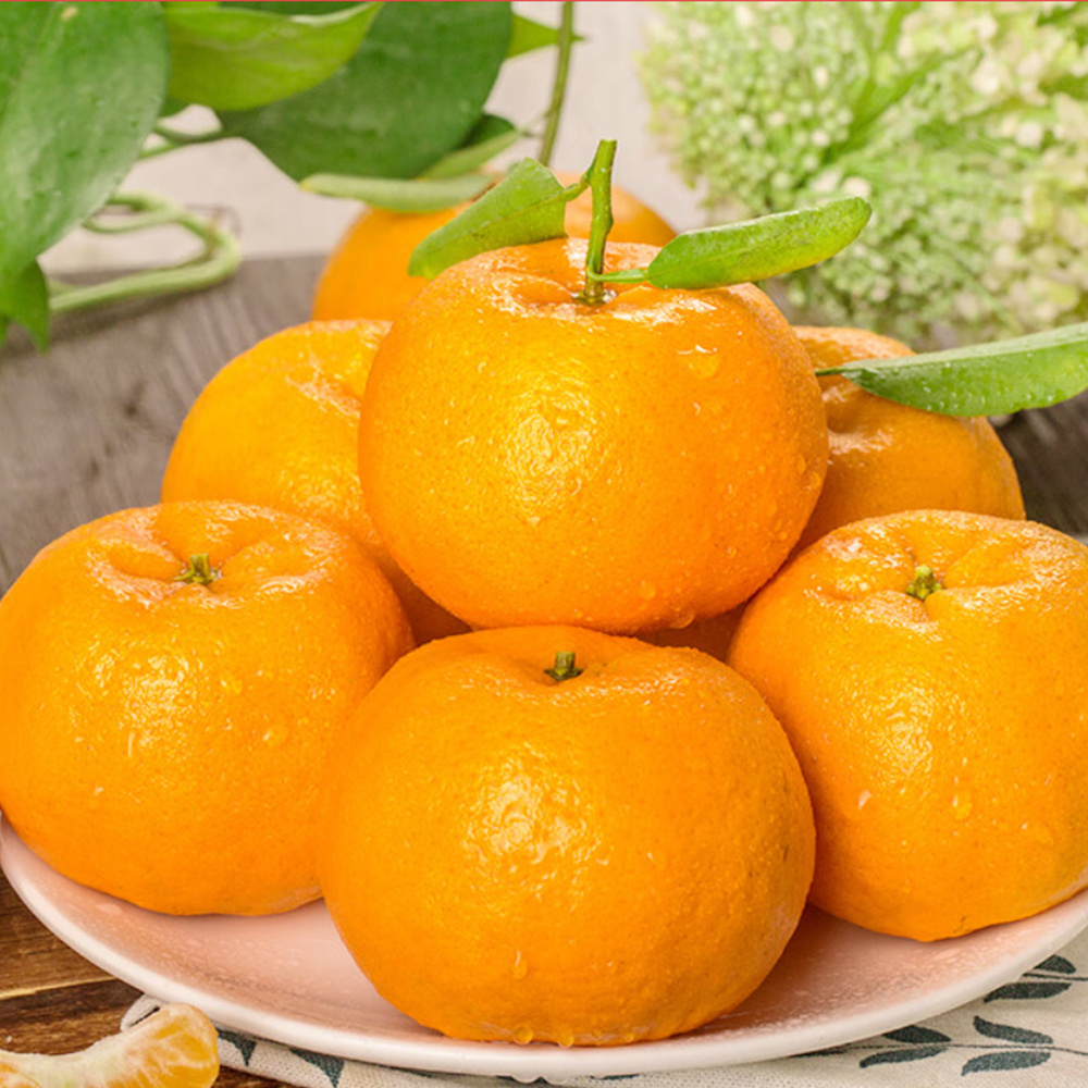 High Quality Fresh Mandarin Orange Fresh Tangerine Ponkon Organic Fresh Citrus Fruit From CN