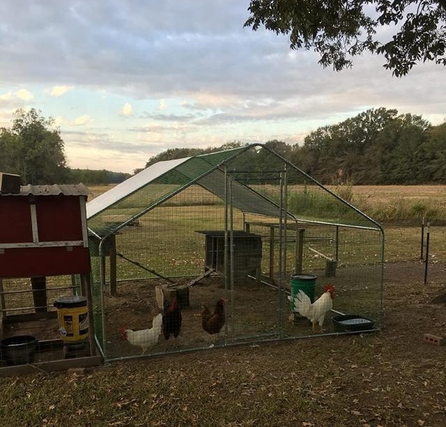 Outdoor Walk-in Poultry Cage Hen Run House Rabbits with Waterproof Cover and Secure Lock