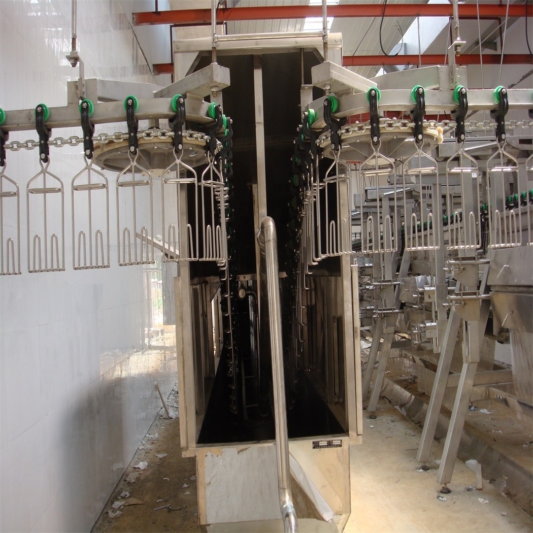 Halal chicken screw chiller