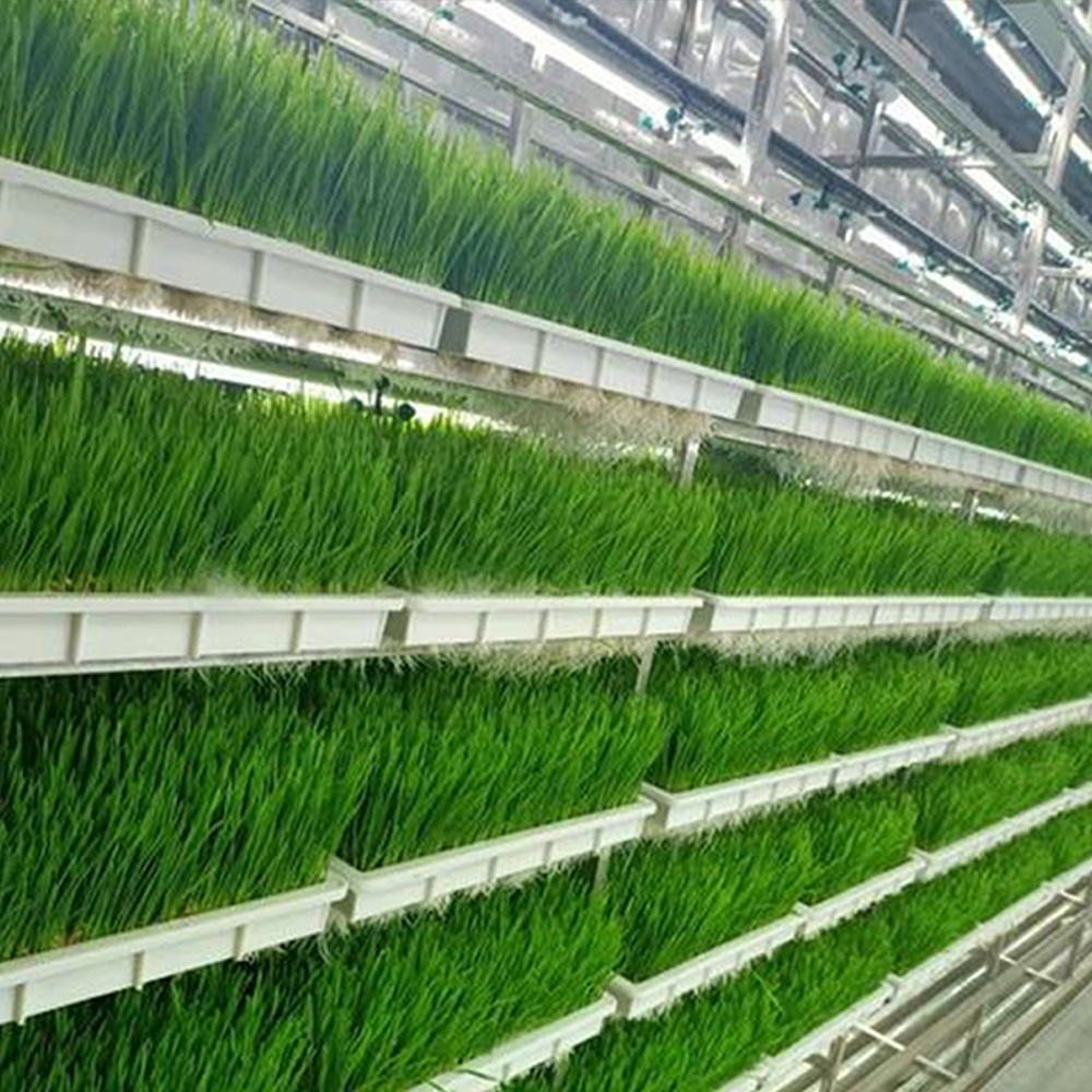 Plant planting container farm hydroponics artificial climate hydroponics planting factory