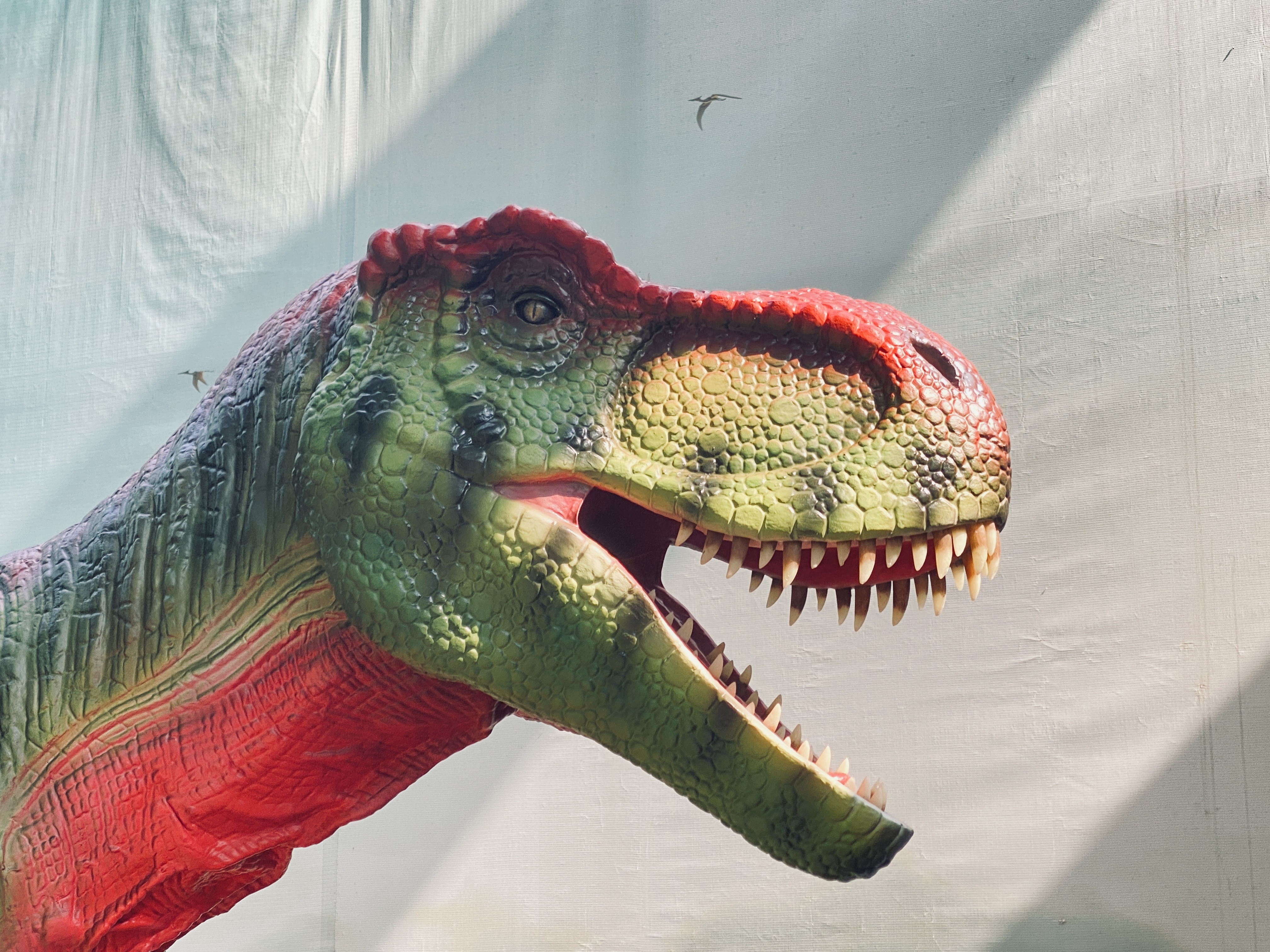 Outdoor animatronics dinosaur moving T-Rex head for sale