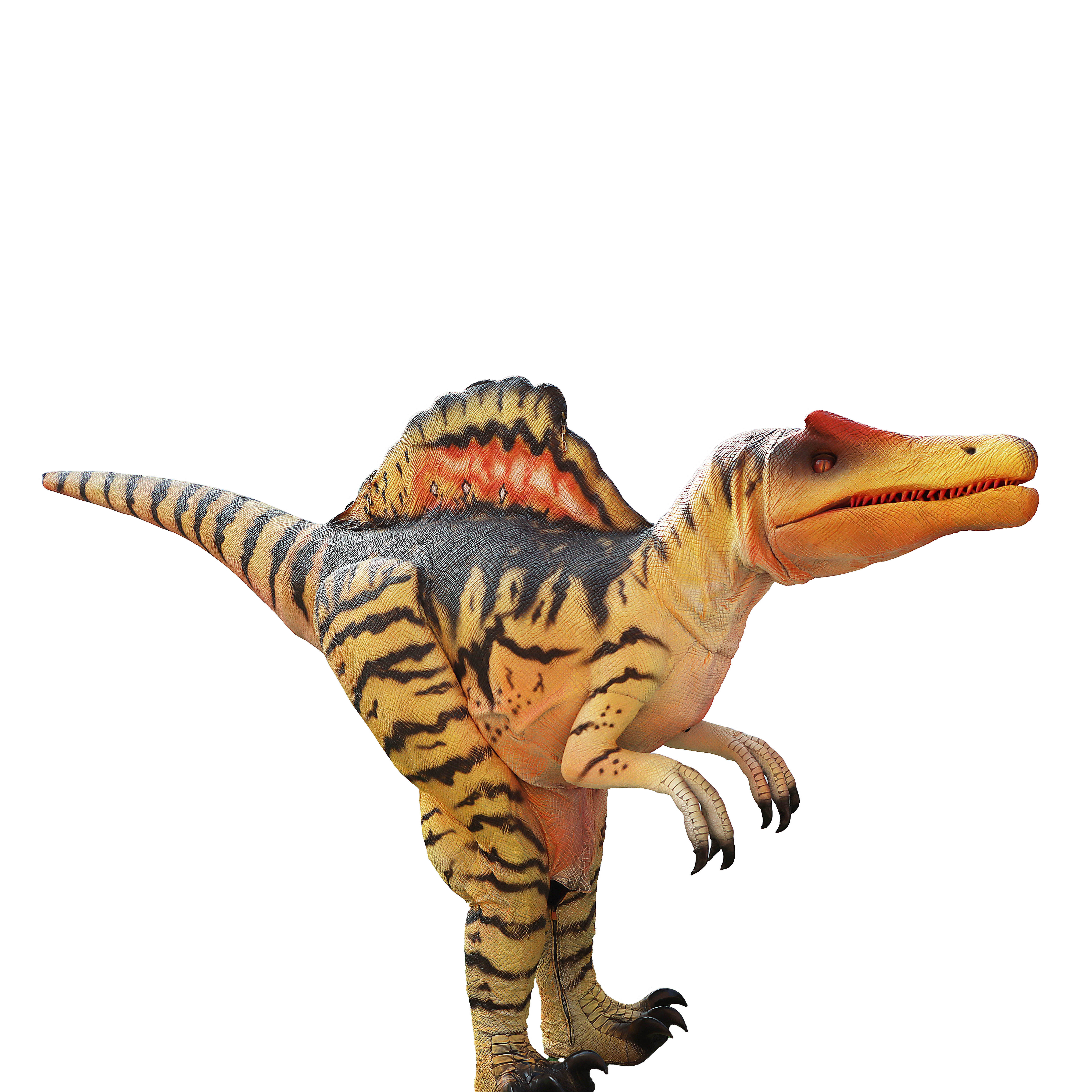 Large simulated Spinosaurus dinosaur performance costumes realistic Jurassic park walking animatronic dinosaur costumes for sale