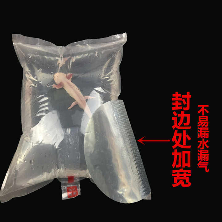 Custom Clear Polyethylene Aquarium Fish Carrying Bags Live Fish Shipping Packaging Bag Plastic Bags For Fish Transport