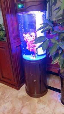 Round Aquarium cylindrical fish tank Acrylic Aquarium indoor artificial cylinder acrylic fish aquarium with base cabinet