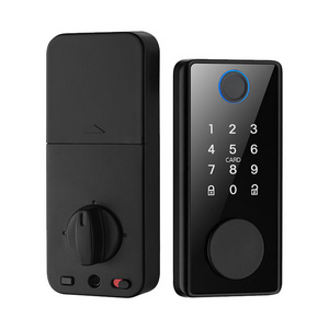 Single Lever Deadbolt Zinc Alloy Card Electron Apartment Door Lock Ttlock Fingerprint Password Digital Room Door Lock