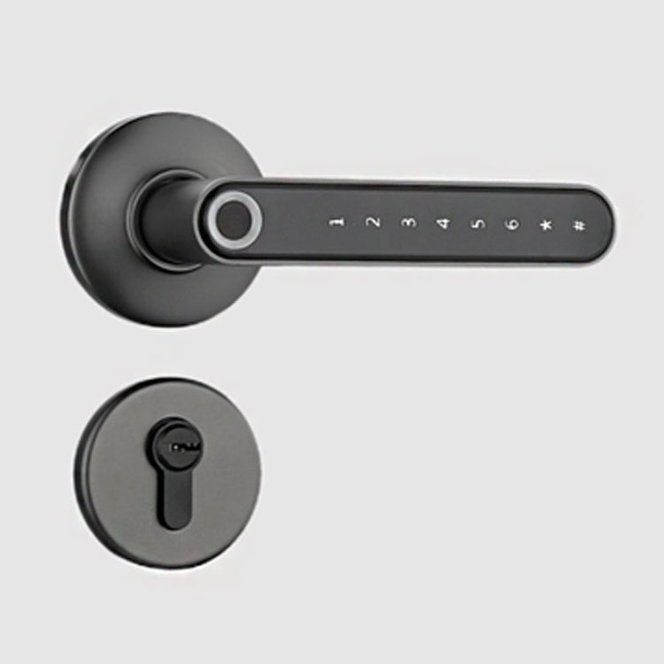 Smart door Lock Fingerprint Password Electric Digital Lock Tuya Zinc Alloy Keyless Security Door Handle for Home