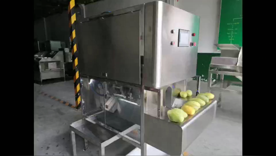 Commercial fruit peelers Mango peeler Mango Orange Kiwi Pumpkin peeling machine