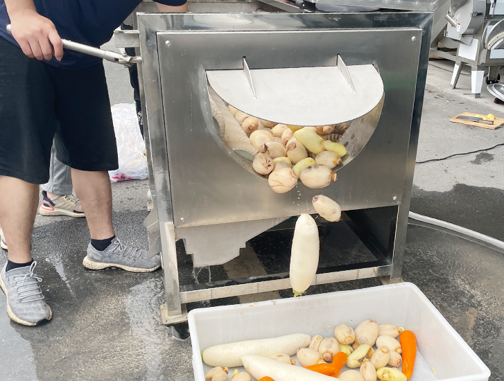 New Type Yam Peeling Machine Stainless Steel Garlic Peeling Machine For Sale