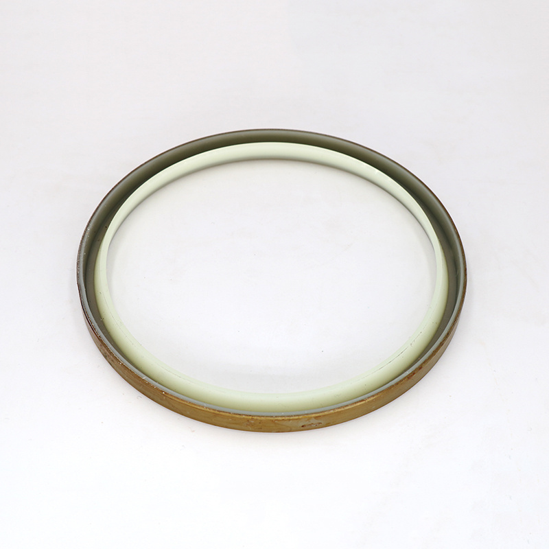 DKBI /DKB hydraulic cylinder seal dust Wiper Seals