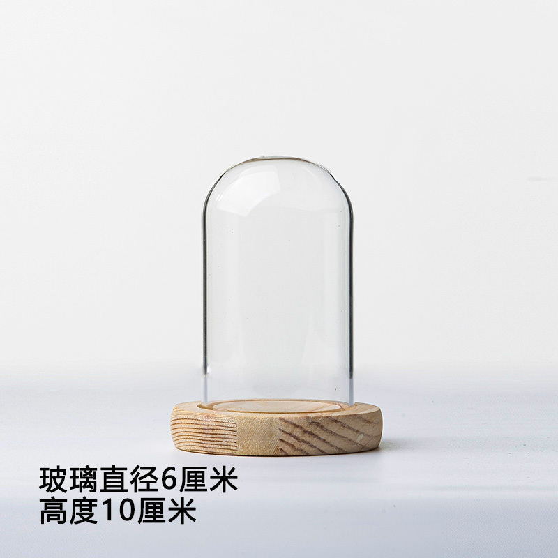 Dust-proof glass Bell Jar Eternal life flower  glass cover with lamp Display Dome With Wood base